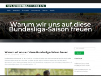 vfl-neidenbach.de Webseite Vorschau