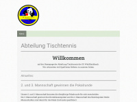 sgwaldfischbach.de Webseite Vorschau