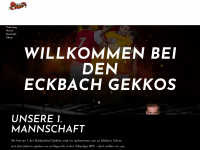 hsg-eckbachtal.de Webseite Vorschau