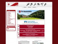 tv-hauenstein.de Webseite Vorschau
