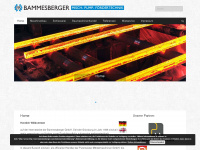 bammesberger.com Webseite Vorschau
