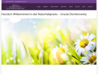dombrowsky.ch Webseite Vorschau