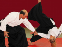 aikido-homburg.de Webseite Vorschau