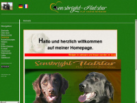 sensbright-flatstar.de Webseite Vorschau