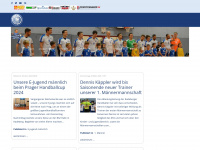 radebergersv-handball.de Webseite Vorschau