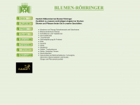 blumen-roehringer.de Webseite Vorschau