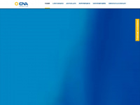 cna-consulting.de Webseite Vorschau