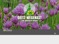 dietz-wegenast.de Webseite Vorschau