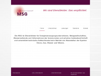 metering-msg.de Webseite Vorschau