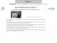 firm-ev.de Webseite Vorschau