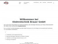 elektrotechnik-brauer.de Webseite Vorschau