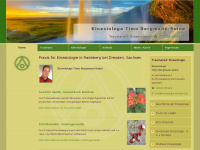 kinesiologie-dresden.de Webseite Vorschau