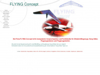 flyingconcept.de Webseite Vorschau
