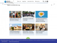 gub.ch Webseite Vorschau