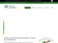 baumschulen-sachsen.de Webseite Vorschau