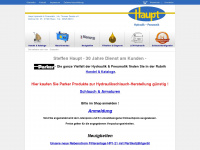 haupt-hydraulik.com