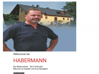 maler-habermann.de Webseite Vorschau