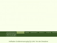 lwugrosserkmannsdorf.de Webseite Vorschau