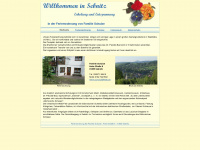 saechsische-schweiz-sebnitz.de Webseite Vorschau