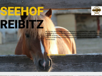 seehof-reibitz.de Webseite Vorschau