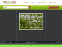 flowermedia.com Webseite Vorschau