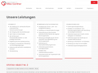 stb-mikeguenther.de