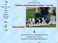 bearded-collie-zwinger.de