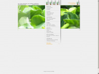 pflanzendoktor.at Webseite Vorschau