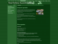 hotel-schoeneaussicht.de Webseite Vorschau