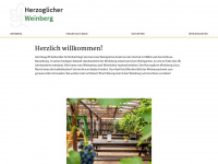 herzoglicher-weinberg.de Webseite Vorschau