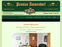 pension-ammendorf.de Webseite Vorschau