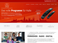 servicekabel.de Webseite Vorschau