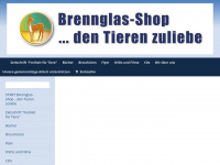 brennglas.com Webseite Vorschau