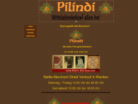 pilindi.de Webseite Vorschau