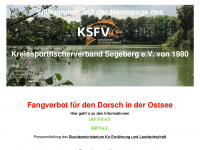 ksfv-se.de Webseite Vorschau