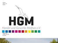 hgm-molfsee.de Webseite Vorschau