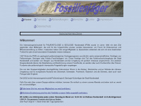 fossilienjaeger.de Webseite Vorschau
