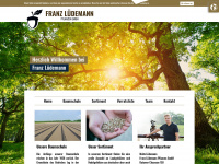 franz-luedemann.de Webseite Vorschau