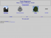 frank-stegemann.de Webseite Vorschau