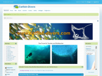 catfish-divers.com