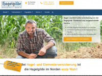 hagelgilde.de Webseite Vorschau