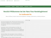 hansvoss.de Webseite Vorschau