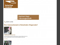 hayn-fahrzeugtechnik.de Webseite Vorschau