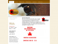 kaehler.org Webseite Vorschau
