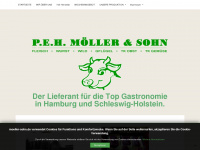 moeller-sohn.de Webseite Vorschau