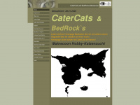 cater-cats.de Webseite Vorschau
