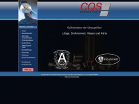 cqs.at Webseite Vorschau