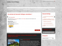 feuerwehr-mellingen.com Webseite Vorschau