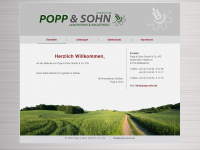 popp-sohn.de Webseite Vorschau