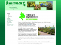 baumschule-kammbach.de Webseite Vorschau